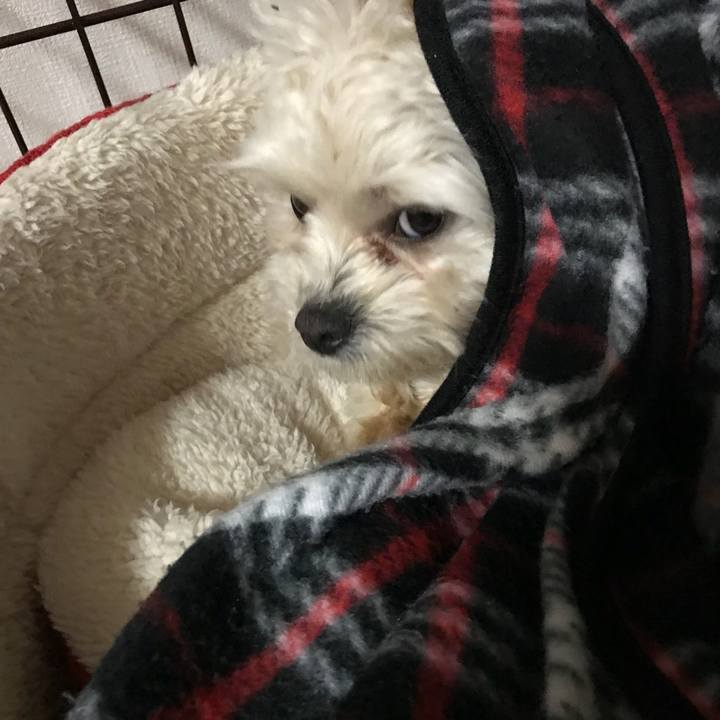 604c2c80 ea7a 46ce a19f c5006f56f054 1516803812640