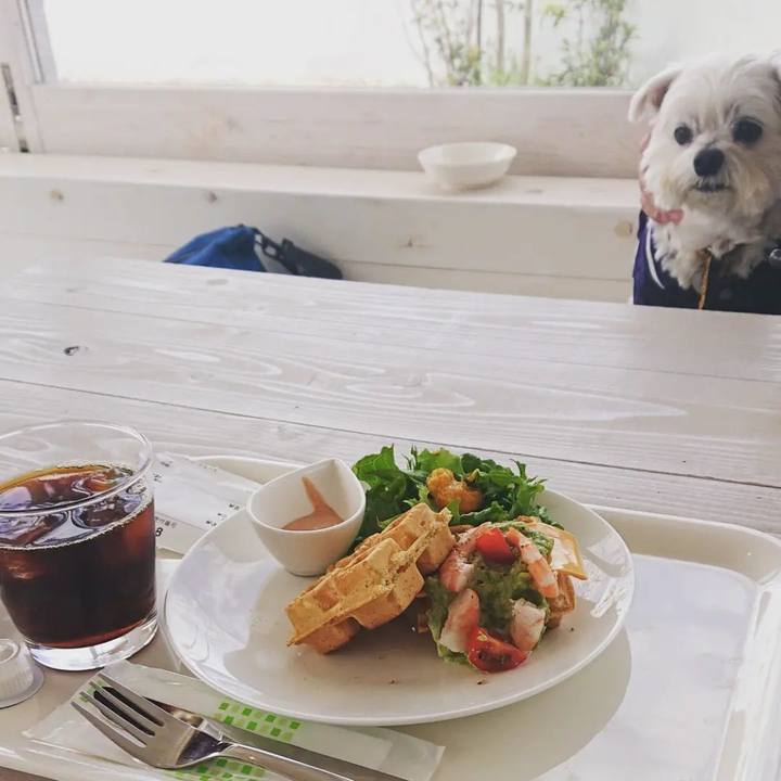 604c68d7 8cb8 4615 84a8 9205902cc7af 1650088792479