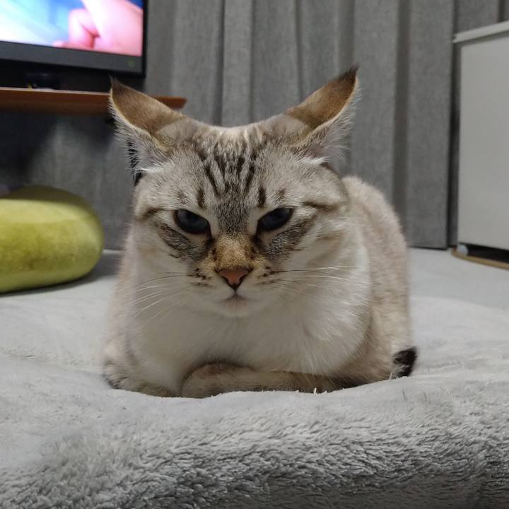 604c855e f2da 474c b1e7 bae18a7c3427 1667214694612