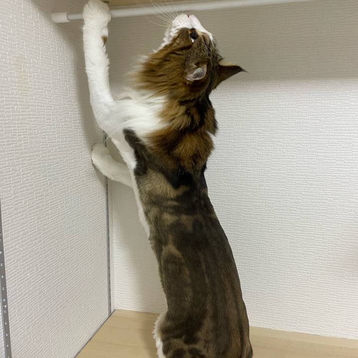 604c9167 148e 4ea3 829f dd247c129ab7 1720641255076