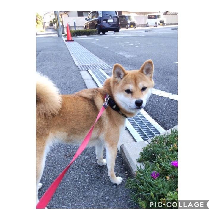 604cfcc0 c0cb 4044 aa0f 0bbc83b1ad00 1667875235612