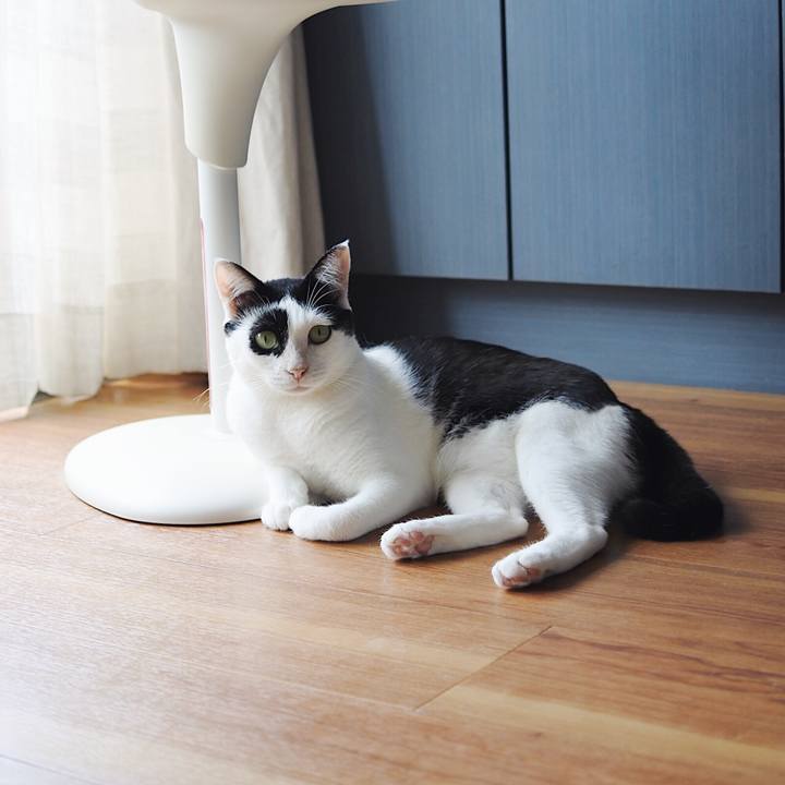 604d05b5 82af 4b83 bb49 d110c0a9809e 1536380831351