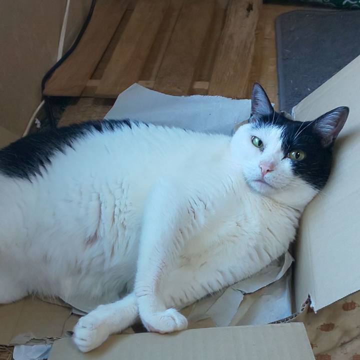 604d0cc5 cbe6 4834 8389 c9a73a5e2e47 1597650978455