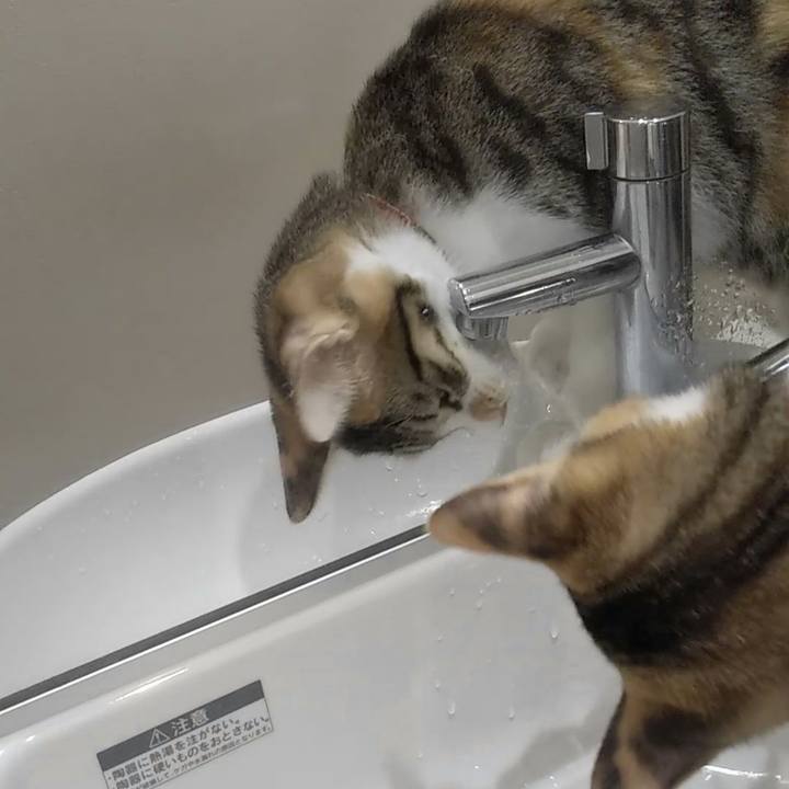 604d2397 29a2 4492 b080 489a952932d7 1630405116199