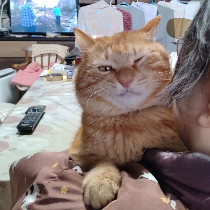 604d3103 519f 4d86 aa83 3b157b1b11fe 1710057688752