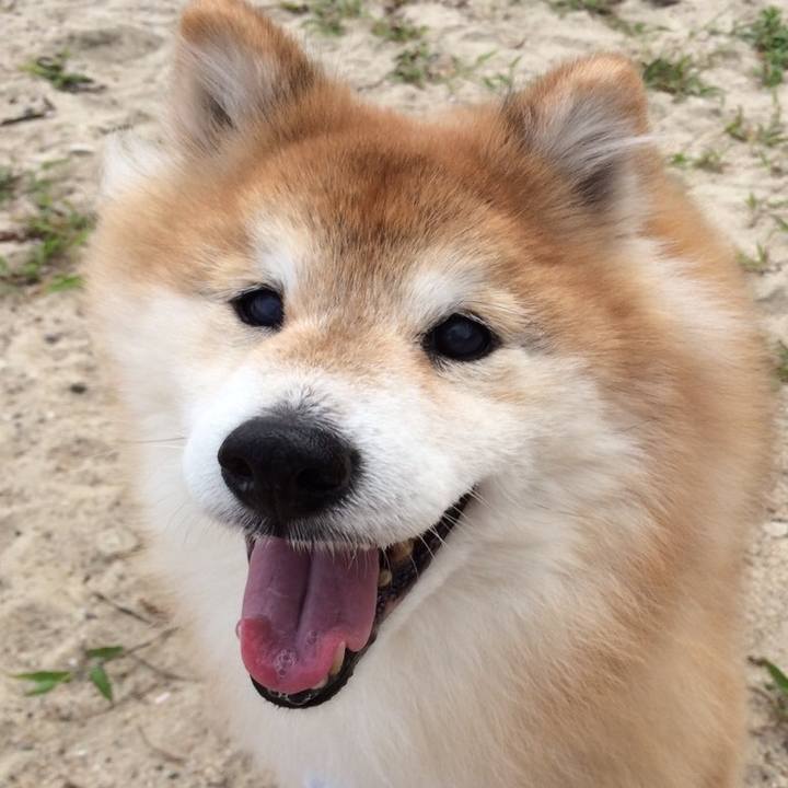 604d3d28 2ca4 4a99 91fd c6ffceeaa980 1519593467770