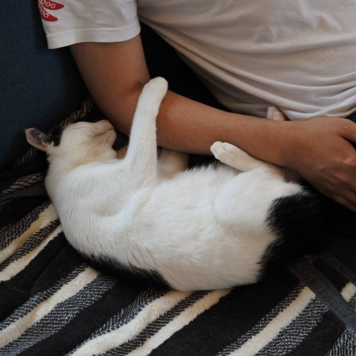 604d48d2 839c 40cd 8162 776f5bbd7e82 1521258571014