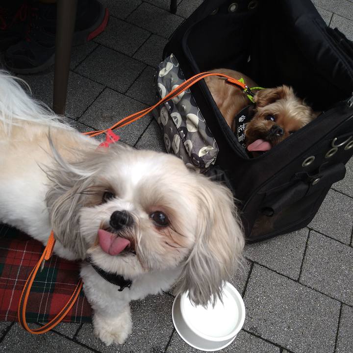 604d4cff 2afd 4406 9a25 0839d4d261c9 1624175788122