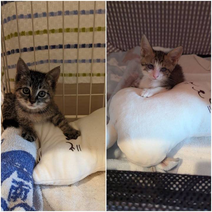 604d522f 8e4e 4bc7 a090 d7e8aeda788d 1727268167061