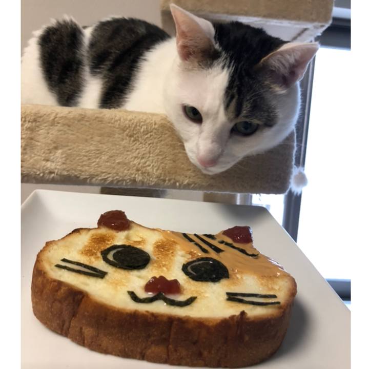 604d548d 9461 41c0 9eaa 2c412aa25423 1559366729676