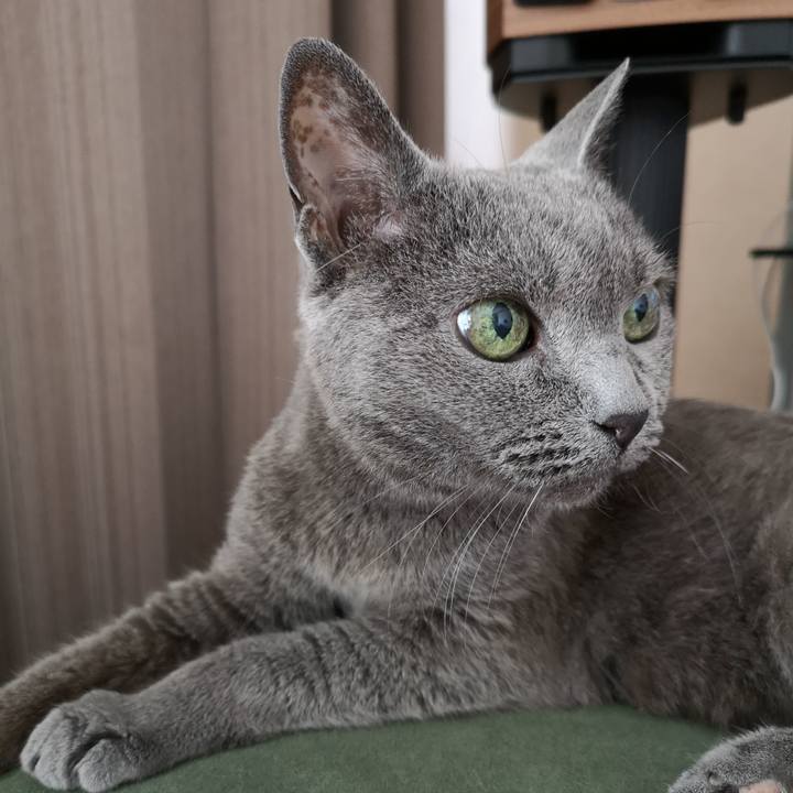 604d5b20 1575 4d97 8b4e d37bbf07be88 1628999829720