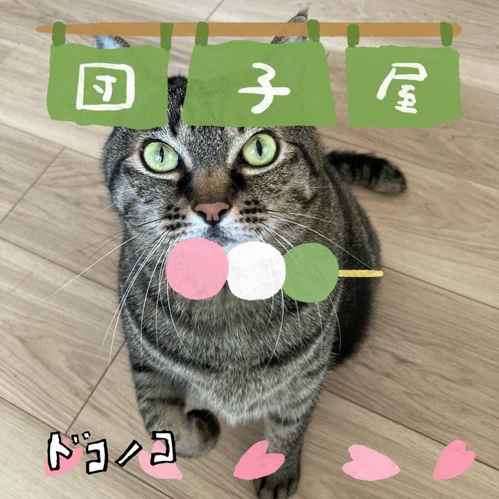 604d7a59 b8e5 4f5c b279 2d597f43fec2 1712211084634