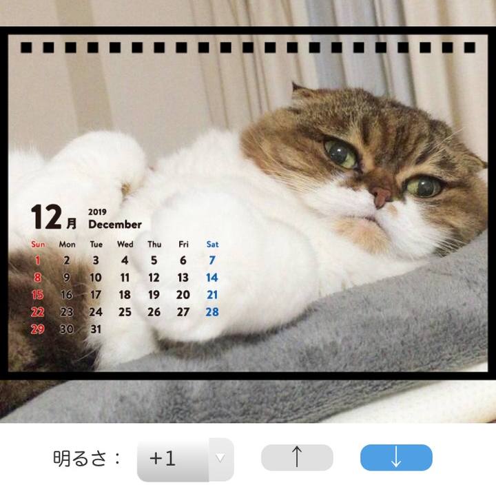 604dbc00 775d 4c3b a504 de8e477bcd96 1541172887724