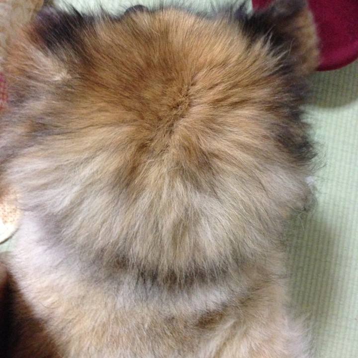 604dbd5f 035e 4cef 9743 ad13d8462321 1604846836131