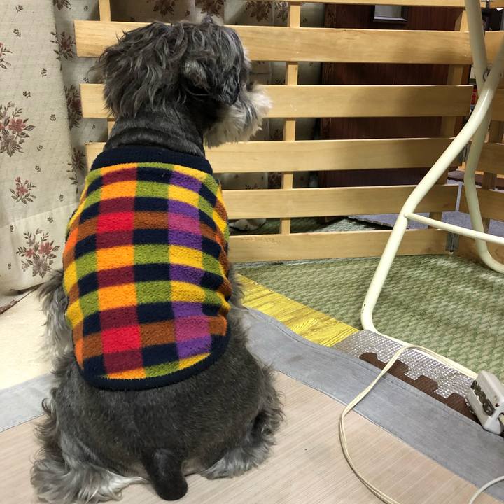 604dc1e6 ccd3 486c 9a2a 54bde5c87a70 1638017824514