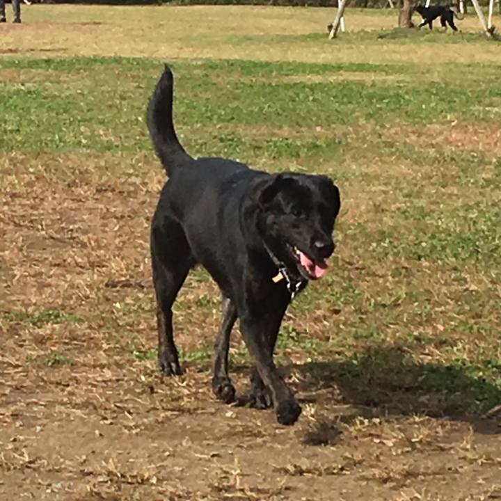 604dc75e 2935 4d52 b66c 5a9e165100ea 1572757526646