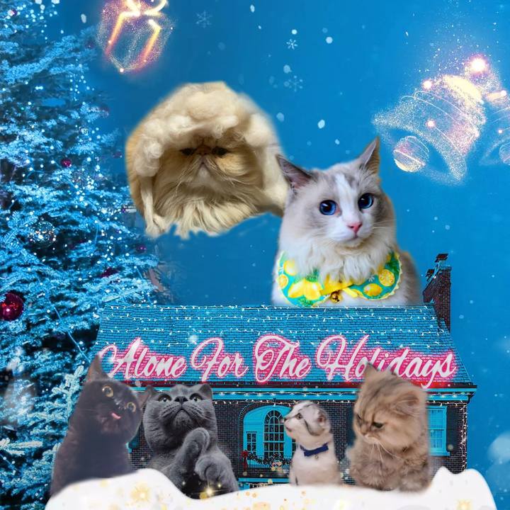 604e13d2 7aab 416d 9af6 f2927bd15a98 1671710549168