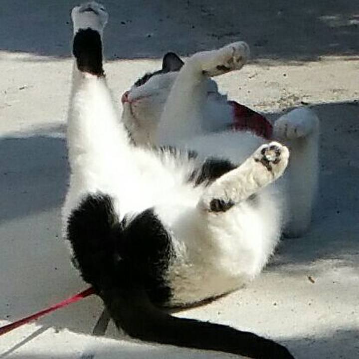 604e273e b26a 4cbf 854b aa219ec1f9eb 1520050179969