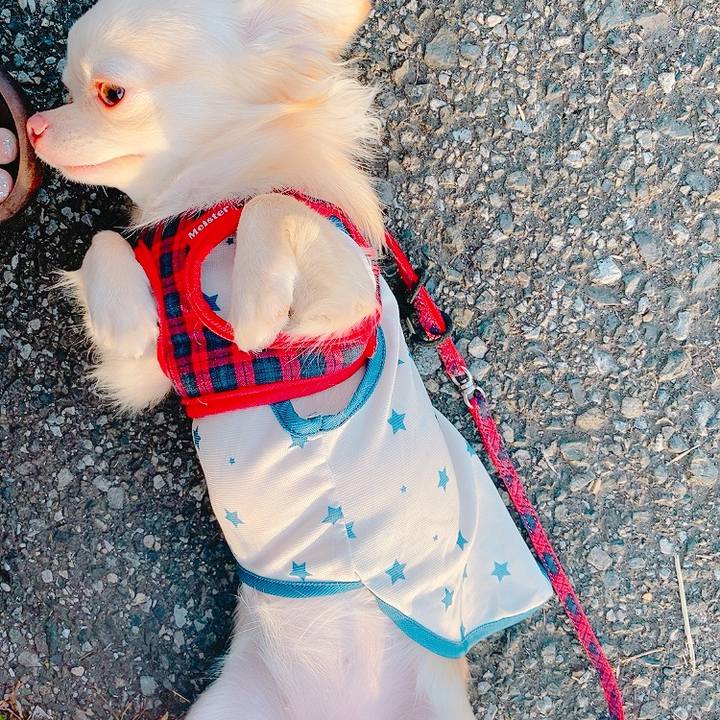 604e739f fa01 485f adf7 3c9a1a6a1b91 1623416232896