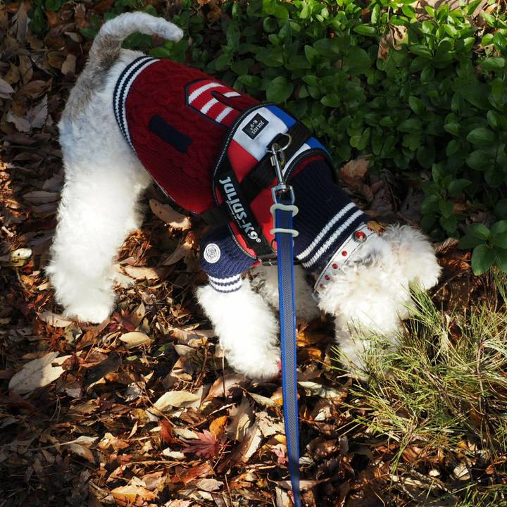 604e8560 e2bb 4a5e b37e 7db25235949c 1512188263910