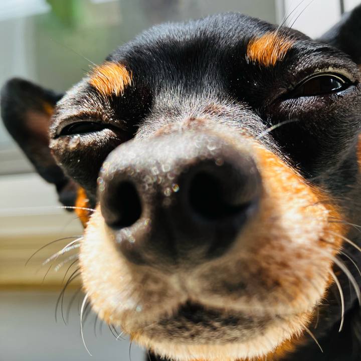 604ecdcd d022 4285 83e2 fb5438ca9659 1721485553280