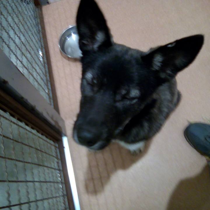 604ed84b 478f 456c 9643 e7e9f88ead1c 1523772156371