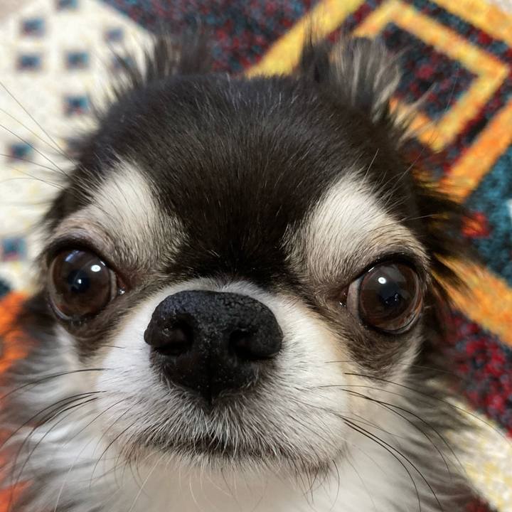 604ed99e 6d27 4c7e 8a0a 61fbf0a59404 1702682607272