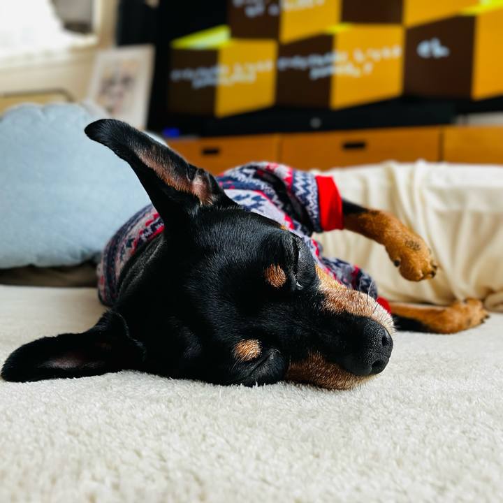 604eec92 d7aa 4dc1 9316 ff73ffee6b1d 1731153971248