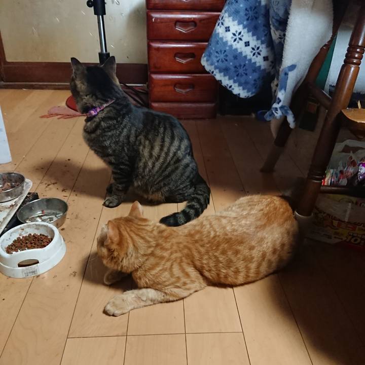 604ef822 1e4d 4b9f b71b 75801ac07374 1649674468752