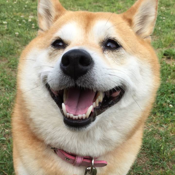 604f042c 673a 4ea9 95f9 9bca501f938b 1559335136687