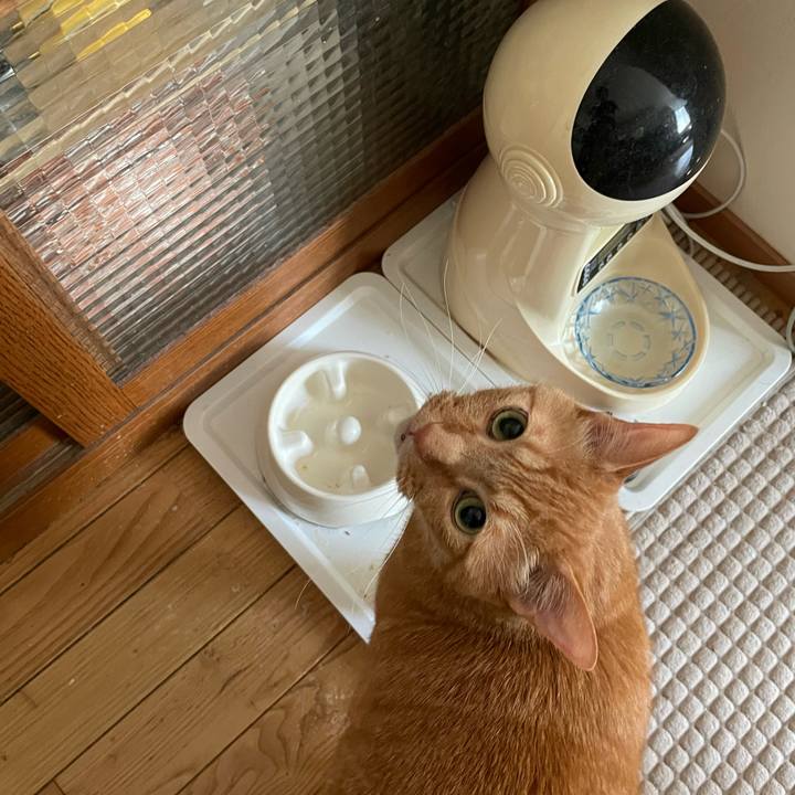 604f062f 03ab 47a4 a4e1 5988e3eee7de 1657500624603