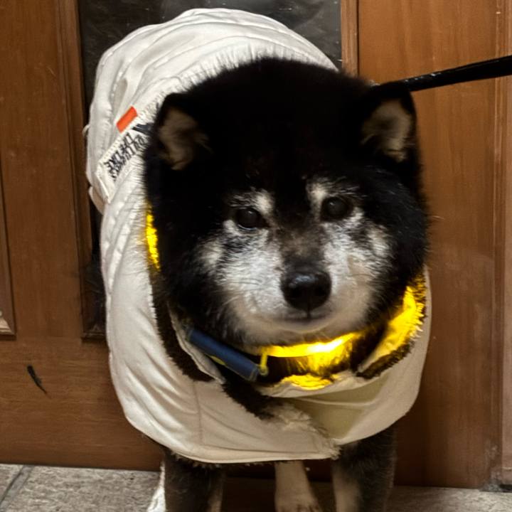 604f12ae f10c 44ea 8d44 efcb16df26c2 1767682126782