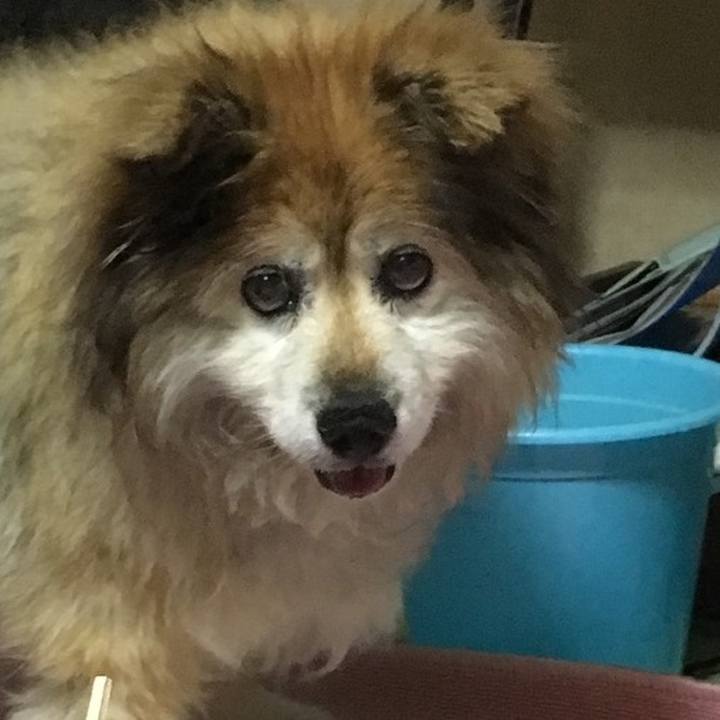 604f15cb 3c2f 4151 a380 68340f58e4af 1582737624160