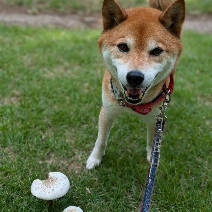 604f1cd0 12c7 4803 8c16 620ddd80747c 1719449119800