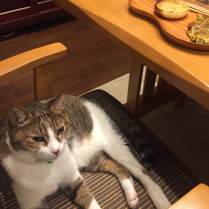 604f221f b5cd 4d07 82d7 1ff8b6bb1d93 1511001283459