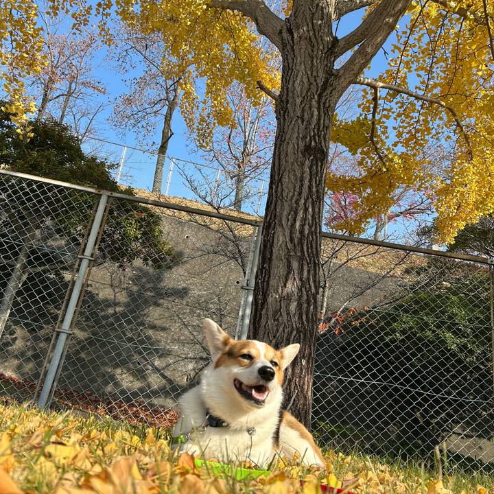 604f6387 be56 460f bc9f cd49dd75870c 1764207498188