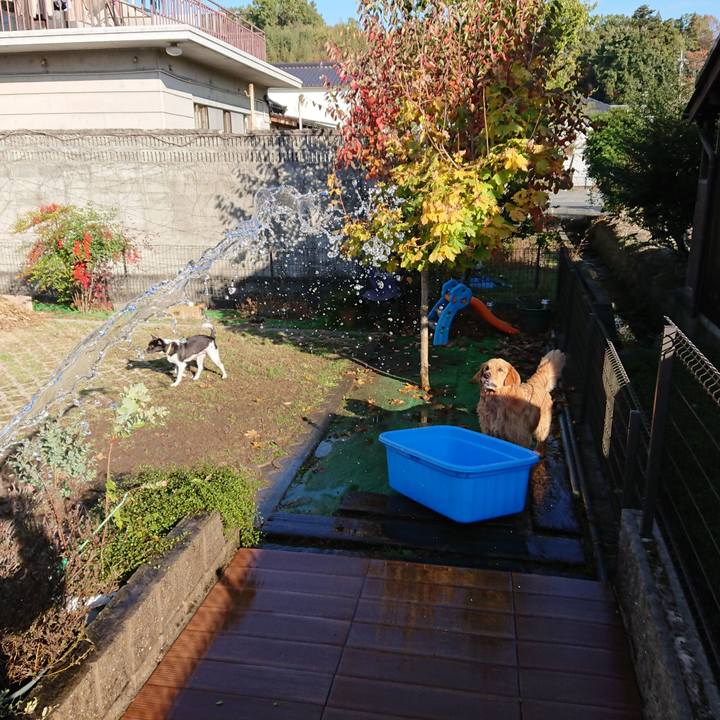 604f80df 3a1d 48b2 aaad 650fd5f4e3ae 1541413297030