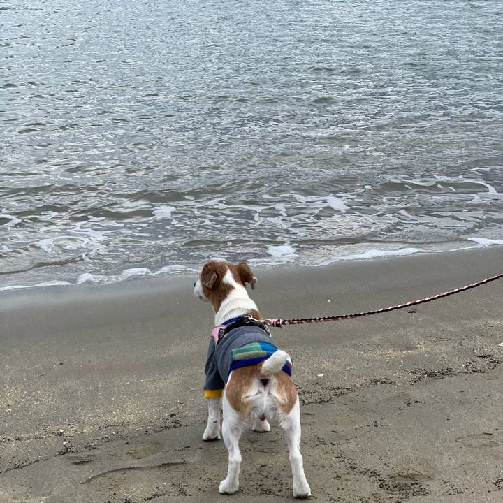 604f8b27 6cc9 431b 90ac 1bb71f423f3a 1619149395879