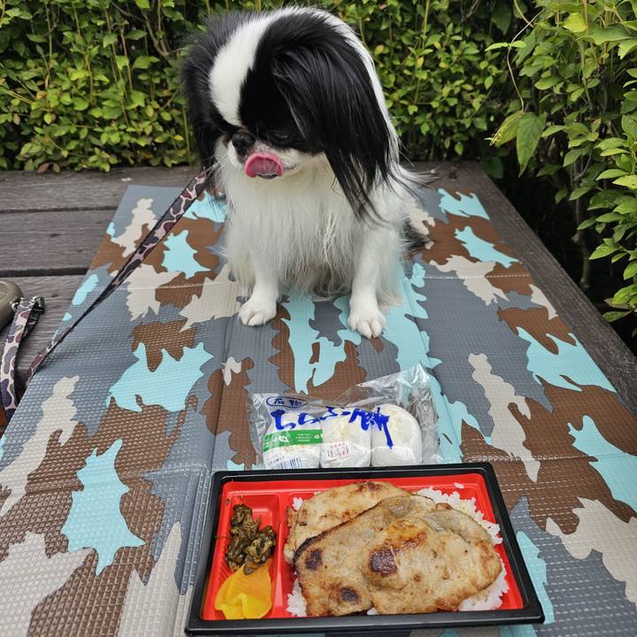 604f8d4e 41b9 49d5 b02e 95b8e228e8ef 1727608034996