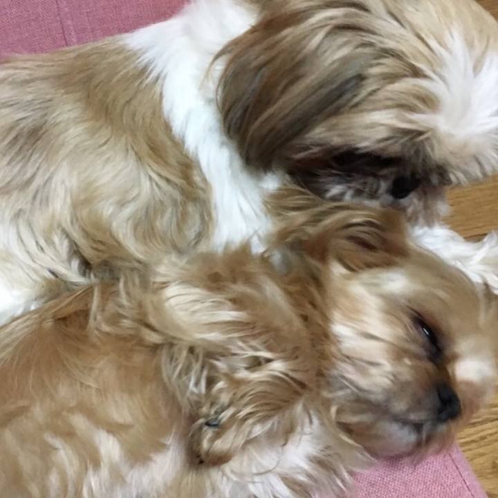 604feb4f 8721 4f47 a027 edc6f942c2b3 1763466810484