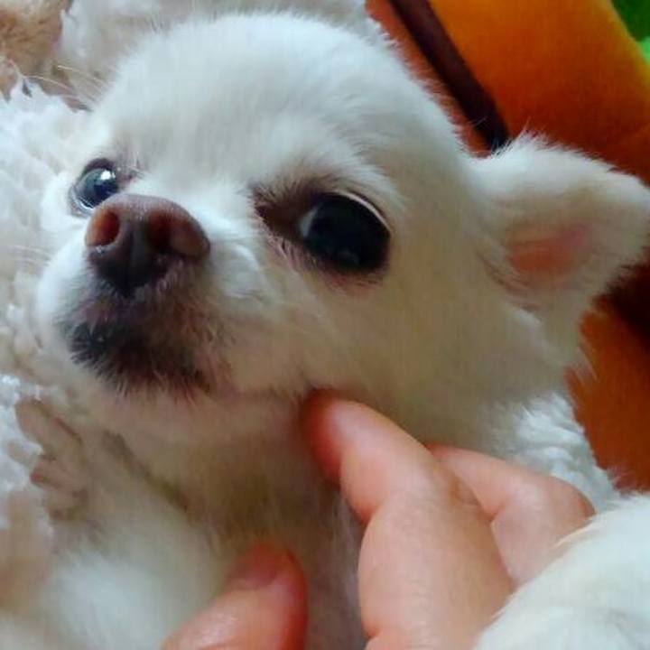 604ff0ee 8eac 4ab2 9e37 a40194162398 1563626816708