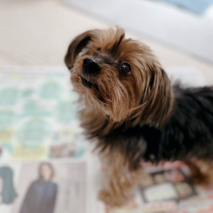 60502c0a f71f 4642 8306 d821f4c0ed67 1649026356905