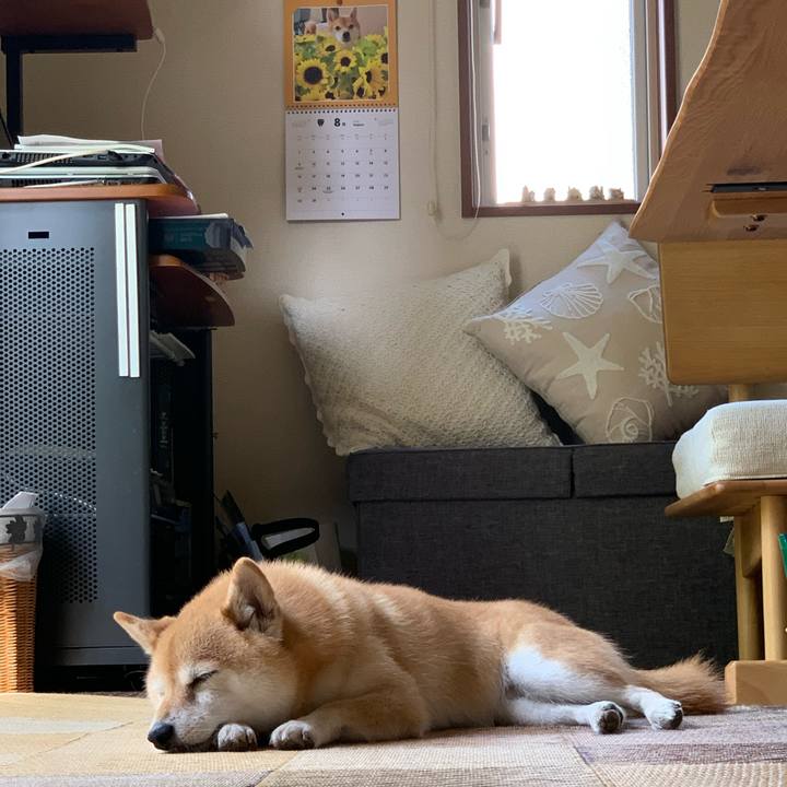 60503dc3 e032 44bd a477 aef26abc26e5 1598226874299