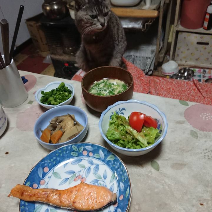 6050425e 507a 4289 978c b22882478ae6 1588074429691