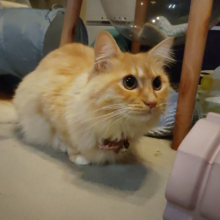 605049ac dd62 4af0 8402 17c113a1d44a 1669674528999