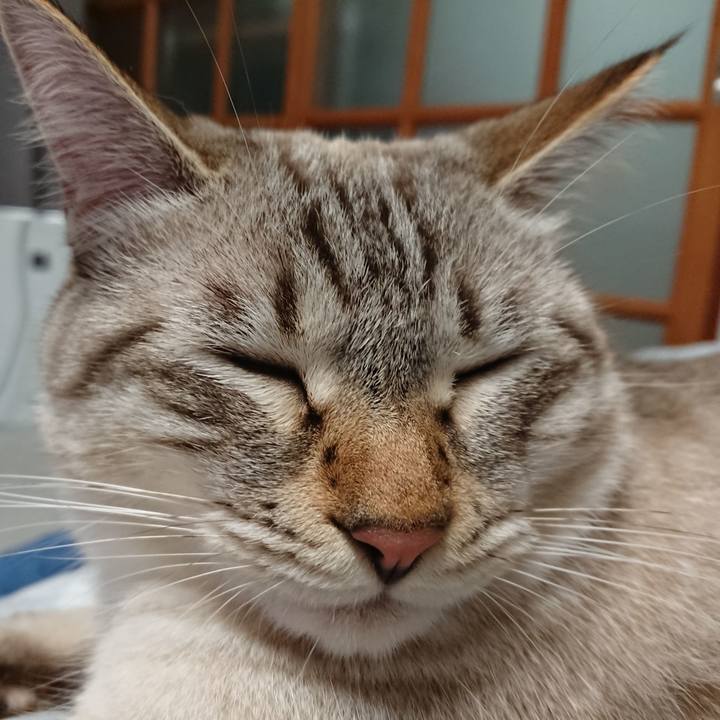 60507bd6 23ff 49fd 9a45 5f57de8c6d95 1538576437508