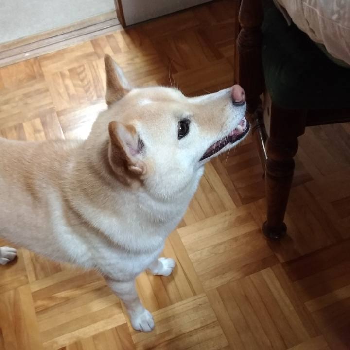 60507f75 7362 4cb8 99b4 7ce001aaf79a 1562967934646