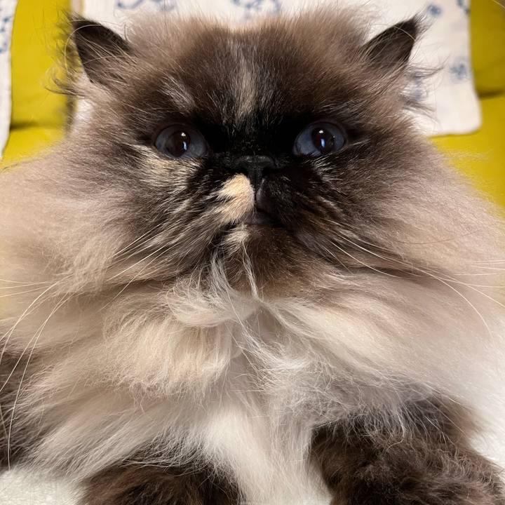 60509418 c188 4653 a357 3a8b75ad1978 1679214630400