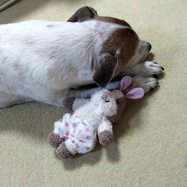 60509f57 a10b 4469 b96e 03e6c5f7abbc 1544449941643