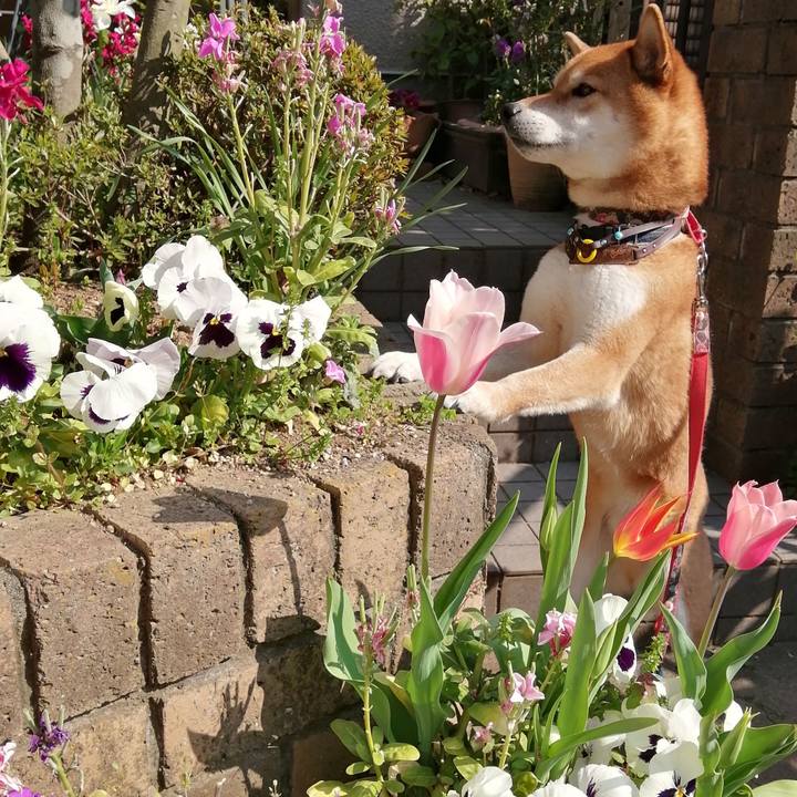 6050d77e fd9e 4aee a5d9 2a18229926b6 1586393469255